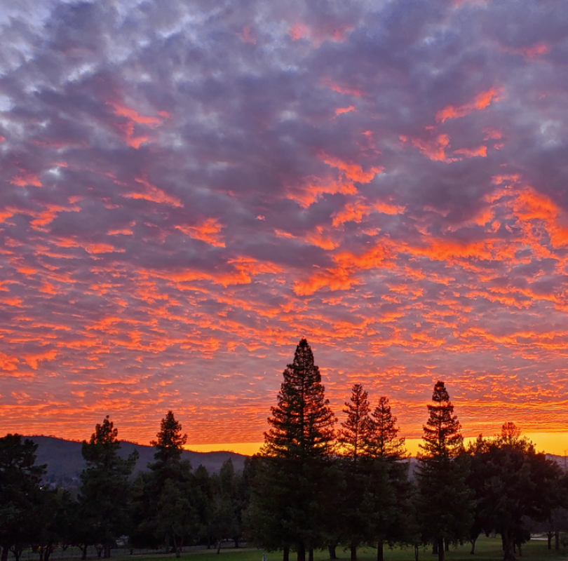 OK - Before Sunset - Image4-Final810x800 - 020424